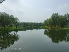 -东郊湿地公园