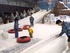 -世界之窗阿尔卑斯冰雪世界