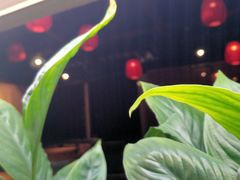 -望京一号·重庆江湖菜(工体店)