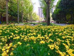 -苏州河梦清园环保主题公园