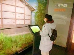 -四川大学博物馆