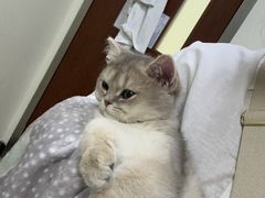 -美联众合动物医院·24h转诊中心