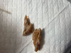 -美联众合动物医院·24h转诊中心