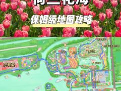 -荷兰花海