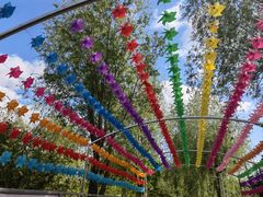 -长春公园(普阳街道)