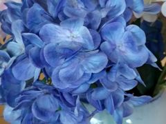 -了凡国风主题茶馆·咖啡(武侯祠锦里店)