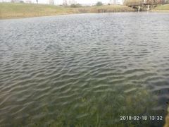 -眉山湿地公园(东坡区)