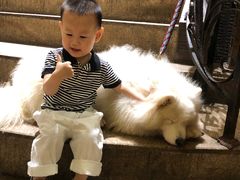 -more than meow吴止猫主题餐厅(承德 中船汇店)