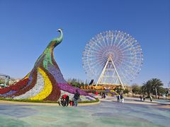 -七彩云南欢乐世界