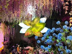 -正佳雨林生态植物园