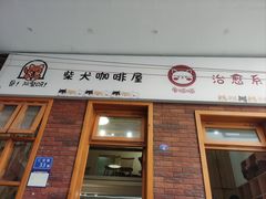 -是阿柴呀！柴犬咖啡·爱喵喵猫咖
