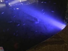 -宝丽金大酒店·洗浴中心