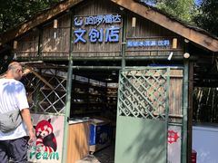 -都江堰中华大熊猫苑