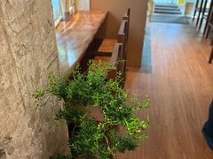 -真打拉面·日式拉面新流派(体育西横街店)
