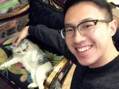-猫色咖啡·猫咖