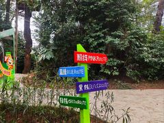 -芦仙山景区-飞越丛林探险乐园