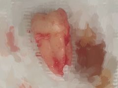 -上海市徐汇区口腔医院
