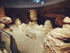 -甘肃地质博物馆