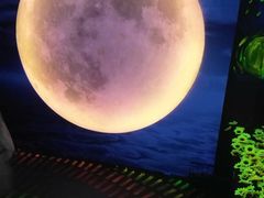 -天津梵高星空艺术馆(天河城旗舰店)