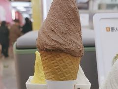 -野人先生现做冰淇淋(西安赛格店)