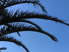 -百信新平购物广场(西园南路店)