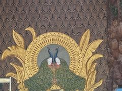 -西双版纳原始森林公园