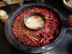 -渝大狮毛肚老火锅(普陀店)