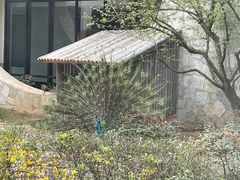 -苏州环秀晓筑养生度假村