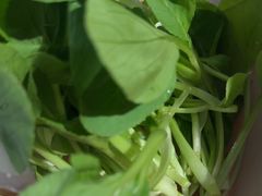 -野·大山里野生菌石锅土鸡(益田假日店)
