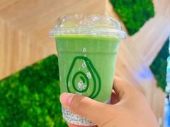 -油梨树AVOCADO TREE(嘉里中心店)