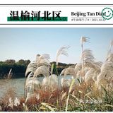 秋日的记忆🍂🍂🍂
