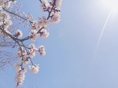 -哈尔滨师范大学(松北校区)