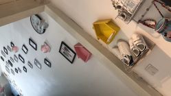-起点潮色造型