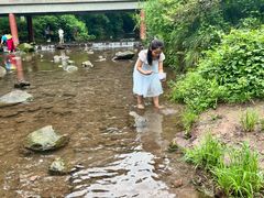 -重庆彩云湖湿地公园