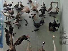 -国家自然博物馆