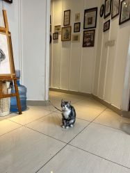 -长沙纹身·龙堂刺青·三土师傅的店