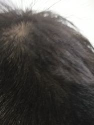 -BULB STUDIO 巴柏明星发型工作室