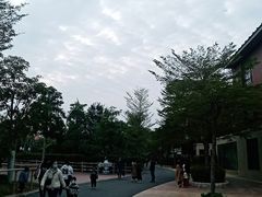 -灵玲国际马戏城