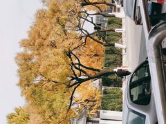 -中国人民抗日战争纪念馆