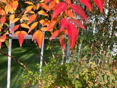 -中国农科院国家农业科技展示园