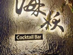 -Sirena海妖日咖夜酒