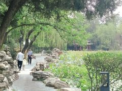 -莲湖公园