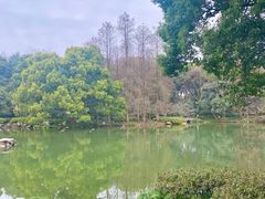 -杭州植物园