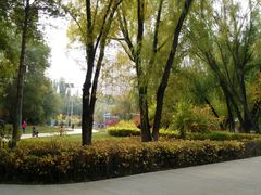 -青城公园