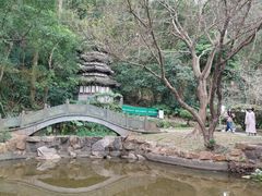 -深圳国际园林花卉博览园