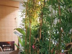 -施奈儿.洗头頭療.按摩SPA.采耳(上梅林店)