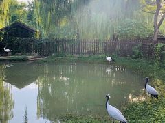 -上方山森林动物世界