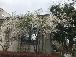 -东航云逸酒店·宴会厅