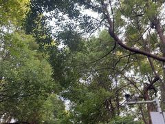 -天鹅湖体育公园