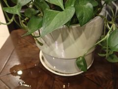 -津菜宋记老房子(鼓楼店)